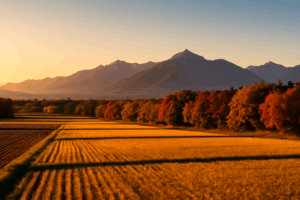 信州安曇野観光 キャンプ案内
