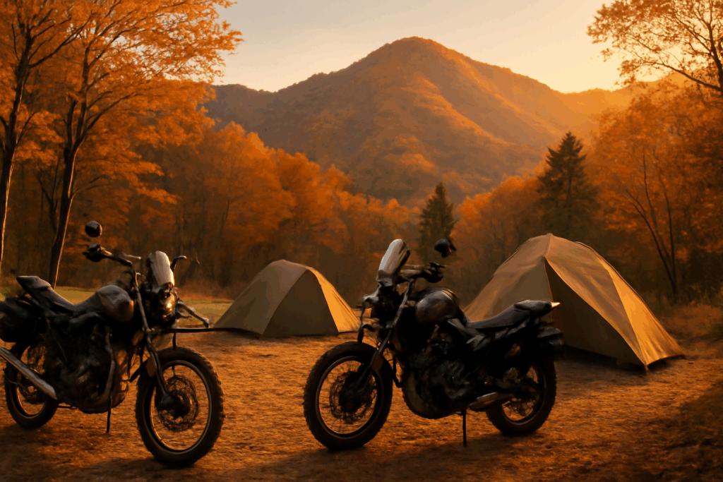 カワサキクシタニキャンプ情報