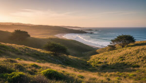軽量折りたたみチェアで身軽に！重量や耐荷重の選び方を徹底解説
