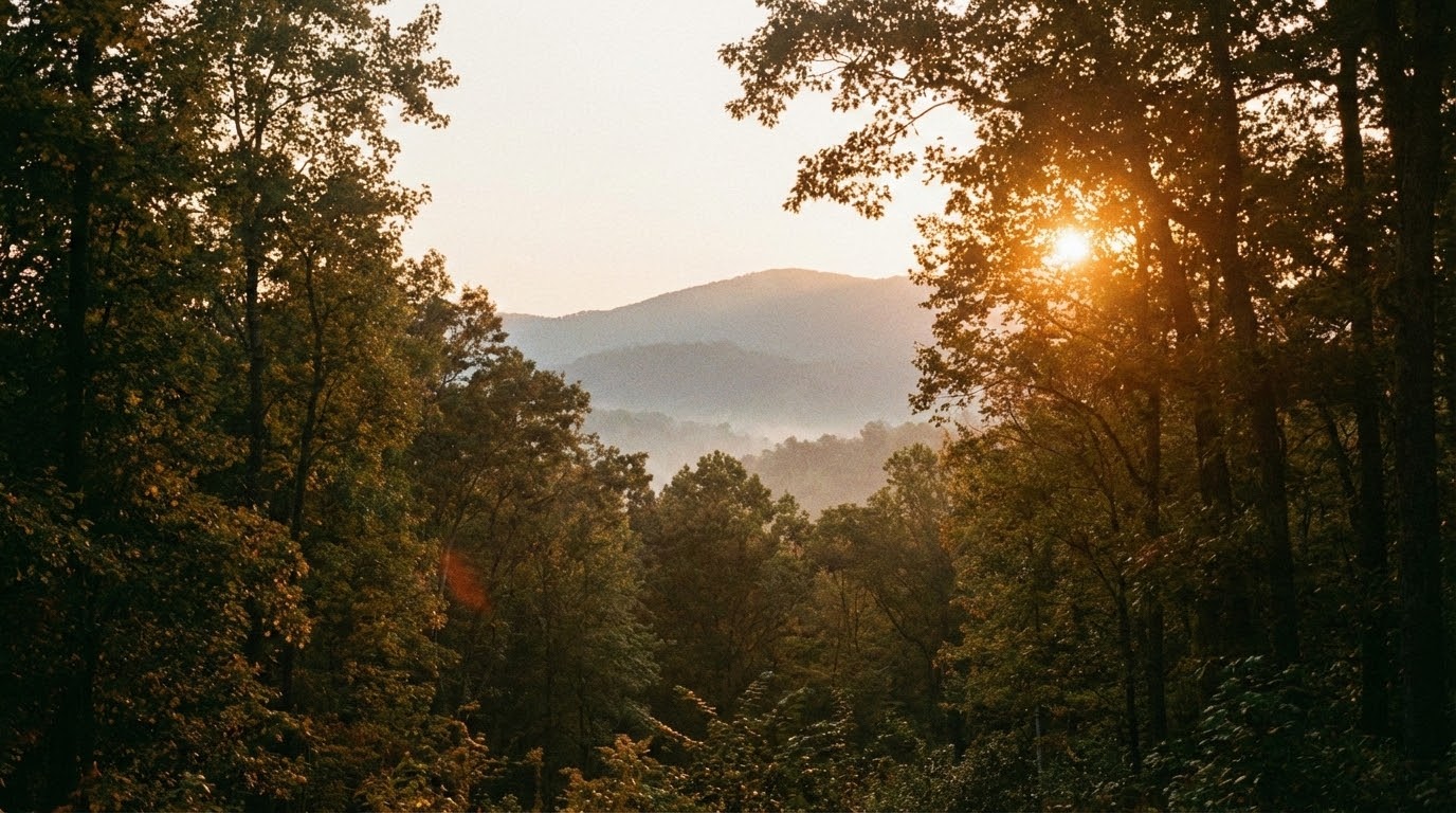 車中泊ファミリーレイアウト!家族4人で寝る配置と収納術