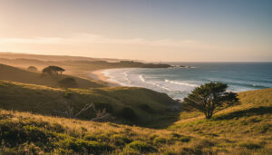 東京のキャンプ場は日帰りが楽しい！手ぶらOKな公園も紹介