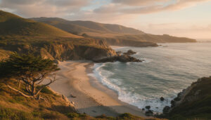 うぐいすの森キャンプ場の料金ガイド！施設利用料とサイト選び